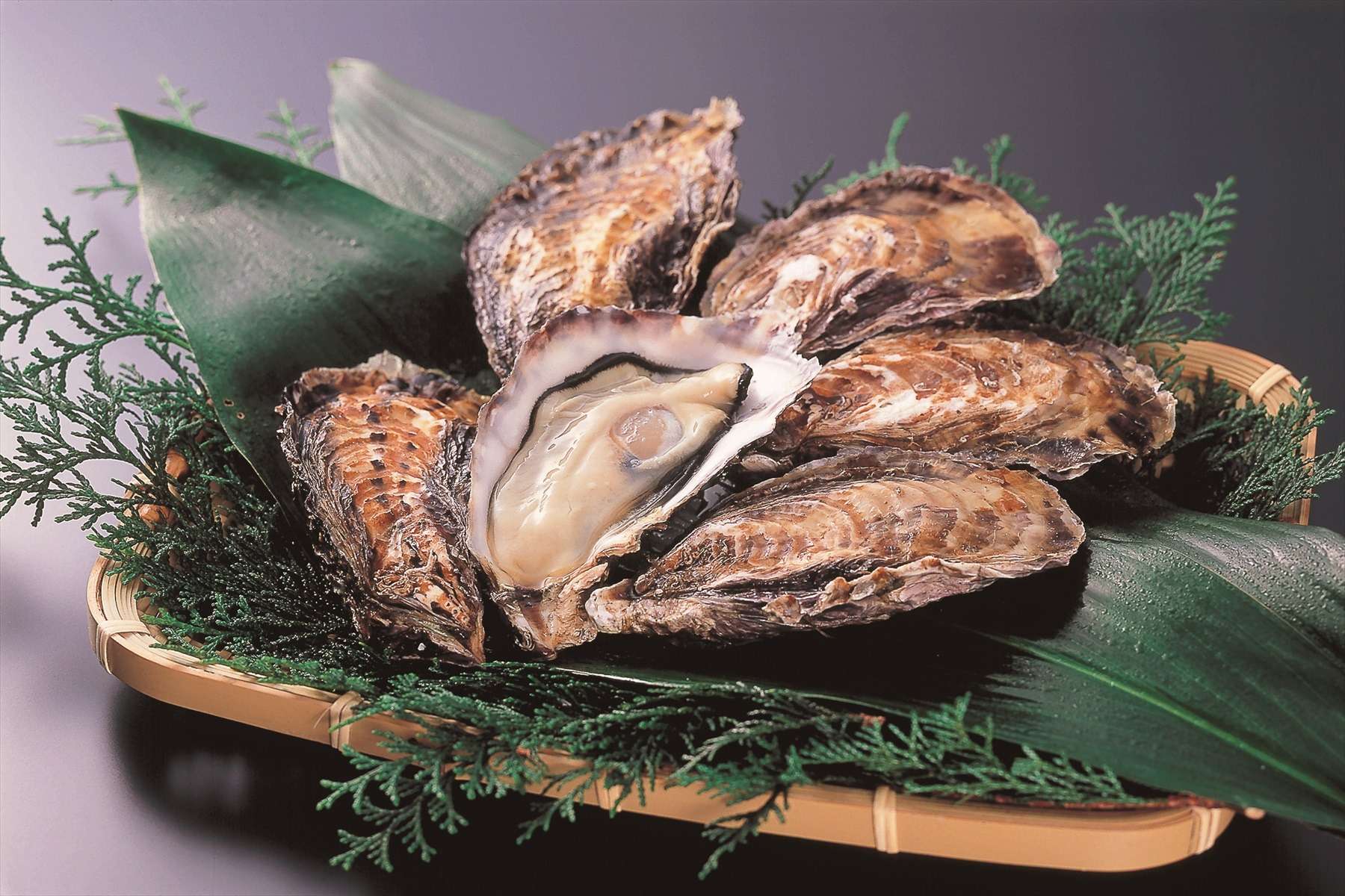 ギフトとしても人気のある坂越湾の新鮮な生牡蠣です