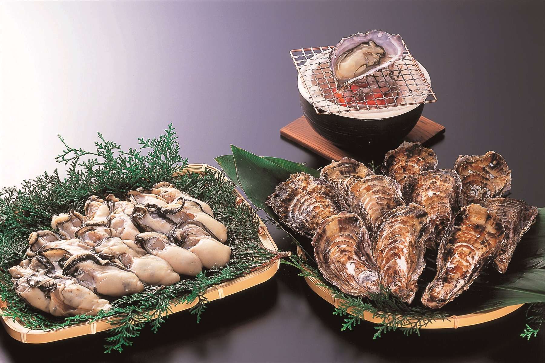 大自然の恩恵を受けた確かな旨味を誇る牡蠣を全国に向け販売中