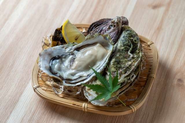 生牡蠣の通販は安全？食中毒リスクや安心して楽しむための選び方を紹介