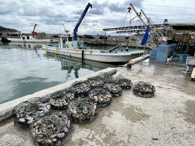 赤穂の牡蠣を通販でお取り寄せしたい方へ｜産地・味・選び方の完全ガイド 