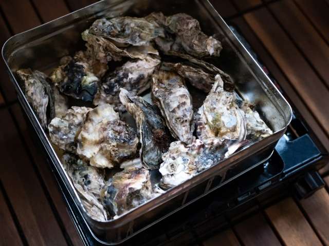 牡蠣のお取り寄せでおすすめはどれ？生食・カンカン焼き・価格など目的別に紹介 