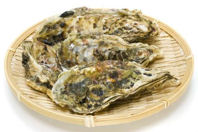 殻付き牡蠣は冷凍できる！正しい冷凍方法・解凍方法・食べ方を解説
