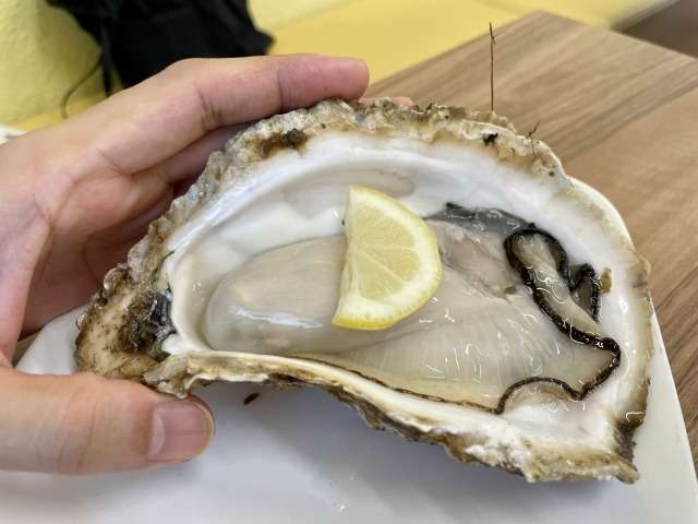 真牡蠣と岩牡蠣どっちが美味しい？旬と味の違いを生産者が解説