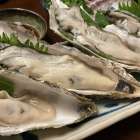坂越の牡蠣の旬はいつ？1～4月が一番おいしい理由｜光栄水産