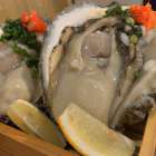 岩牡蠣とは？完全ガイド｜特徴・天然と養殖・選び方を生産者が解説